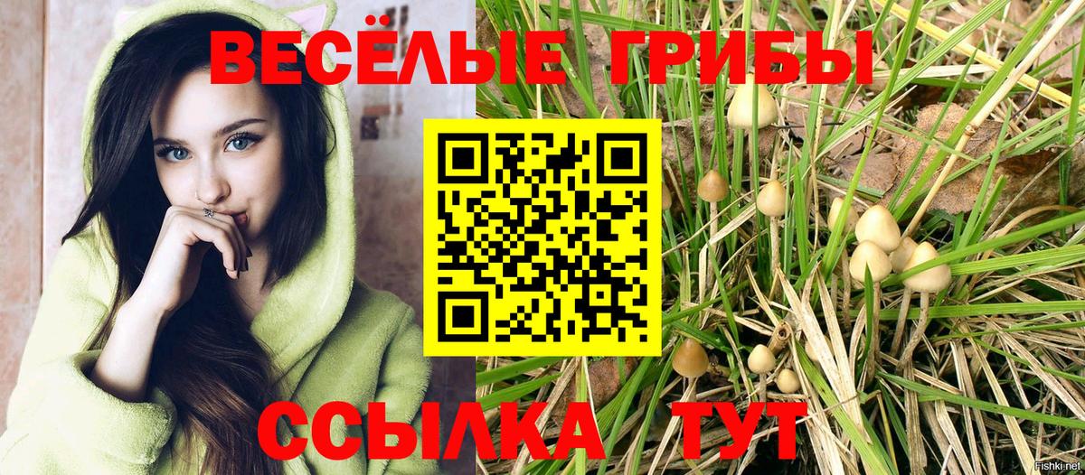 Псилоцибиновые грибы Psilocybe  Вход с VPN  Новотроицк 